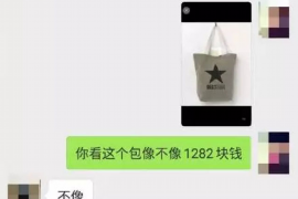 广西专业讨债公司，追讨消失的老赖